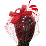 Fascinator feather veil mesh