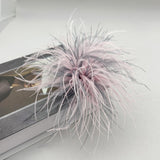 Ostrich Feather Brooch