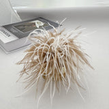 Ostrich Feather Brooch