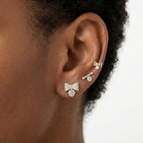 Premium Multi earring set