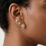 Premium Multi earring set