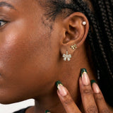 Premium Multi earring set