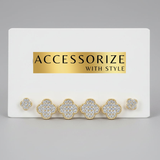 Premium Multi earring set